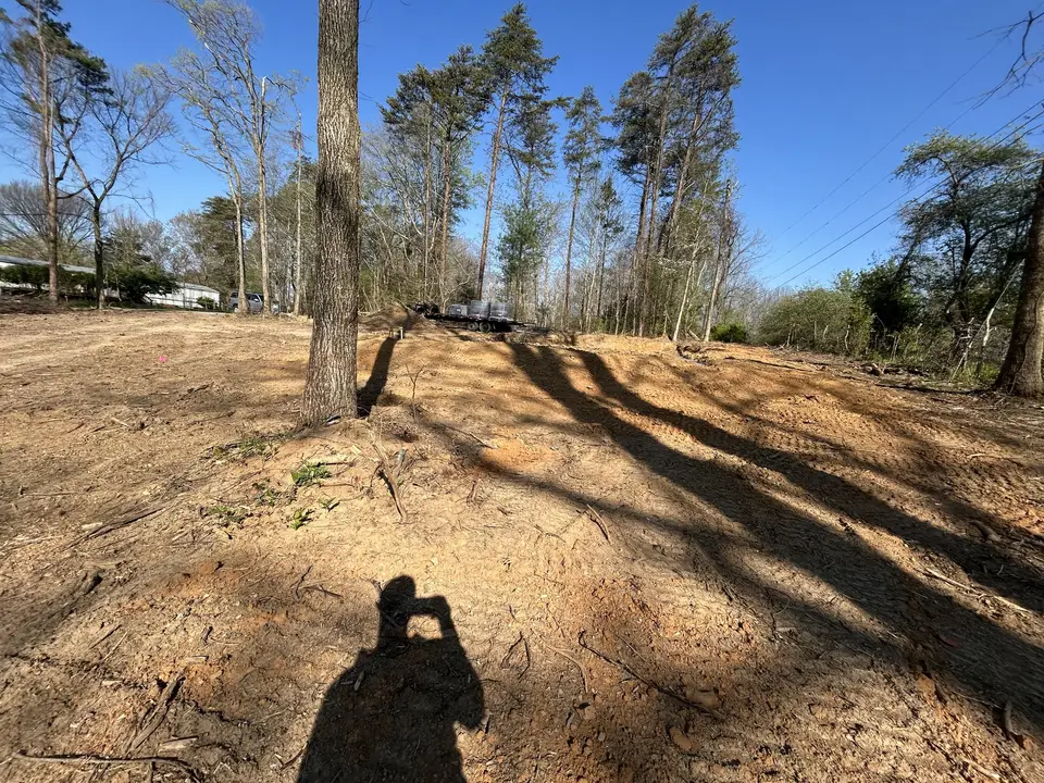 Cleared lot with the debris hauled off and the big trees kept