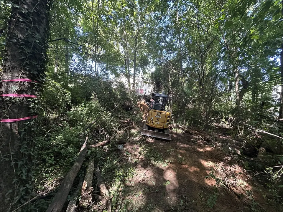 Machine clearing brush on a wooded lot